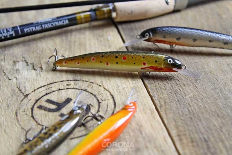 wobler na dużego pstrąga